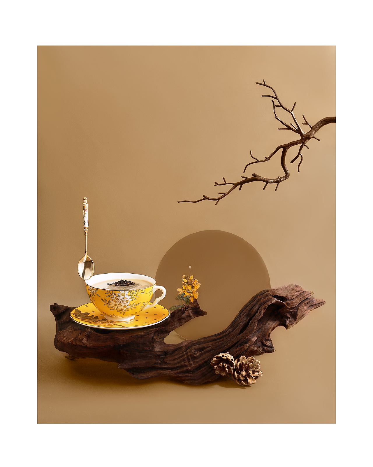 秋日静物产品拍摄 | 静物创意置景（图ZMjgwNjE2NTYw） - 产品摄影 - 站酷设计师Blor原创素材 - 站酷ZCOOL