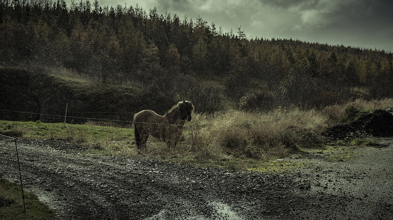 冰岛行记 Impressions of Iceland