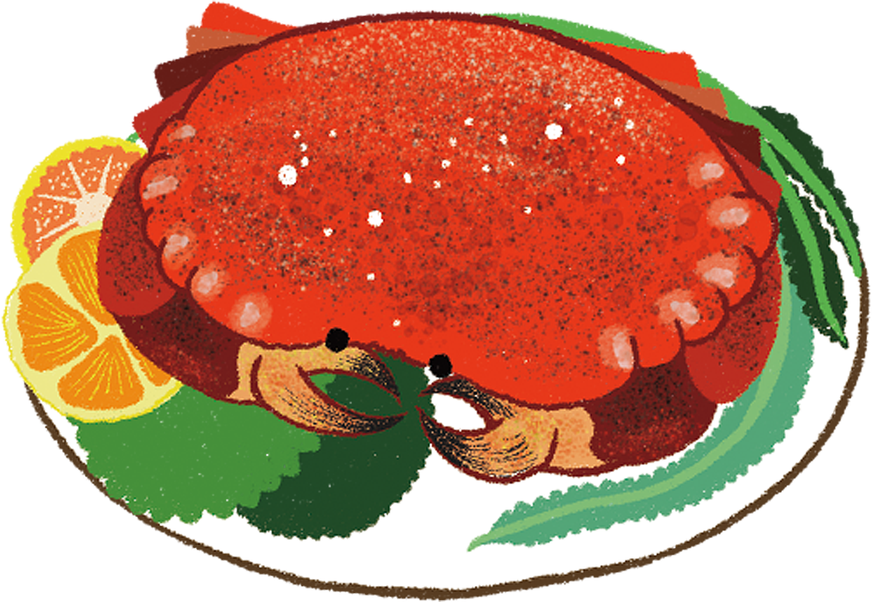 插画:2020shoes party