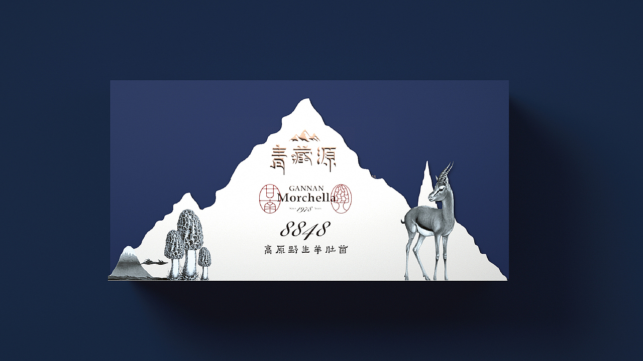 青藏源—高原野生羊肚菌(图ZMzAxMDQ5Mzk2) - 品牌 - 站酷设计师OKBRAND原创素材 - 站酷ZCOOL
