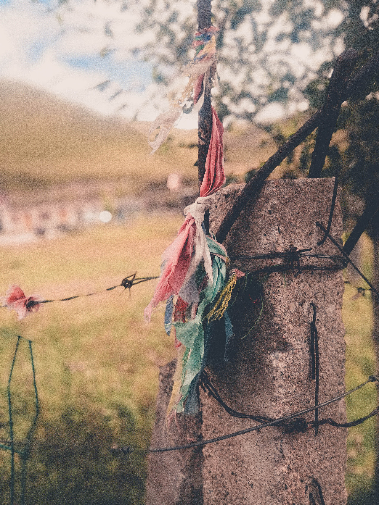 稻城，We Coming！（图ZMjI1Mzc5MDUy） - 人文/纪实摄影 - 站酷设计师有人爱茶煲原创素材 - 站酷ZCOOL