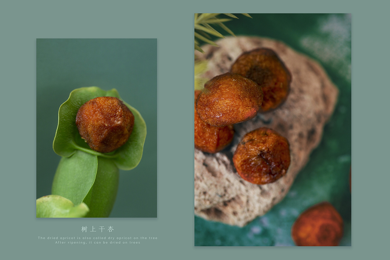 「树上干杏」-食物产品摄影