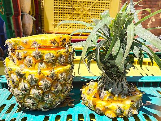 云南香水菠萝