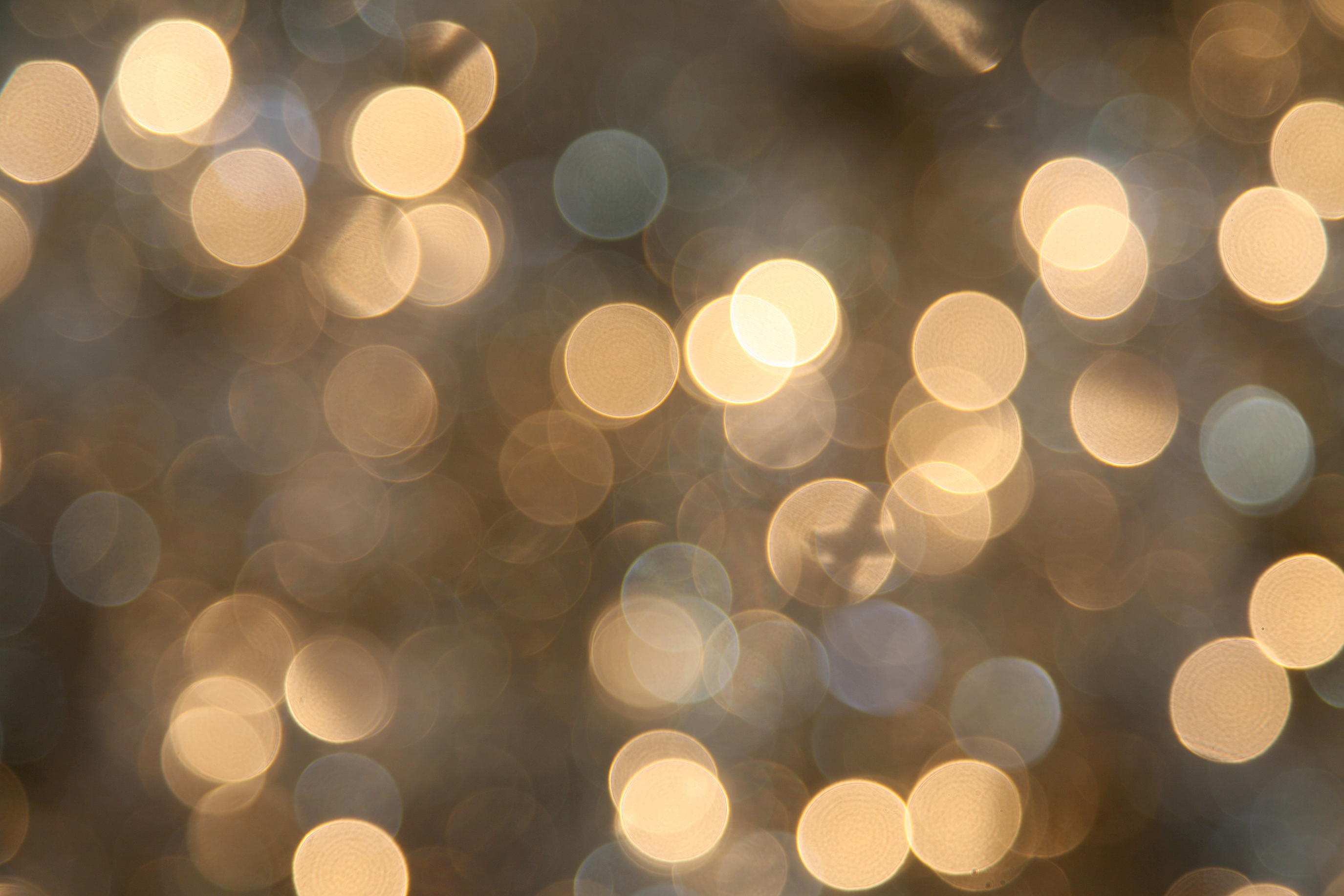 瑾_Siri的个人主页（封面预览） - 主页封面设置 - 站酷设计师瑾_Siri原创素材 - 站酷ZCOOL