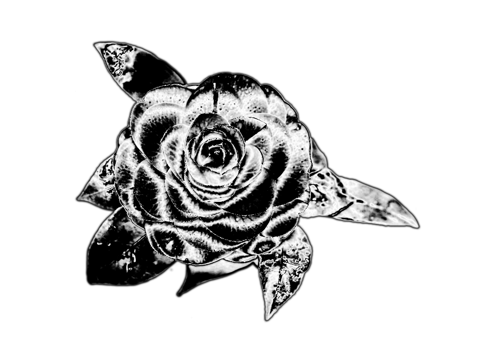 霧無的個人主頁（背景預覽） - 主頁背景設置 - 站酷設計師霧無原創(chuàng)素材 - 站酷ZCOOL