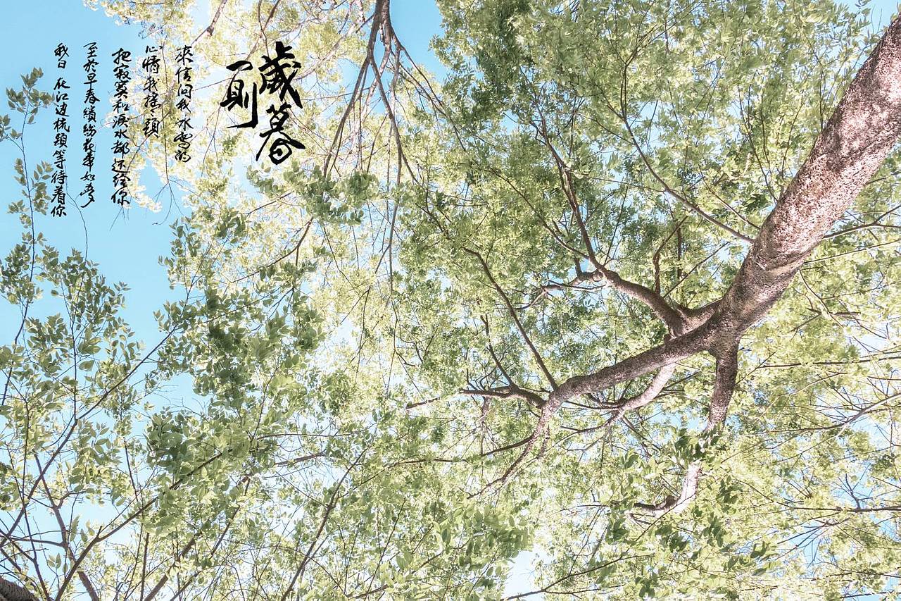 汉服之美（图ZMTUzNTA1MDY4） - 人像摄影 - 站酷设计师大鱼鲲鹏原创素材 - 站酷ZCOOL