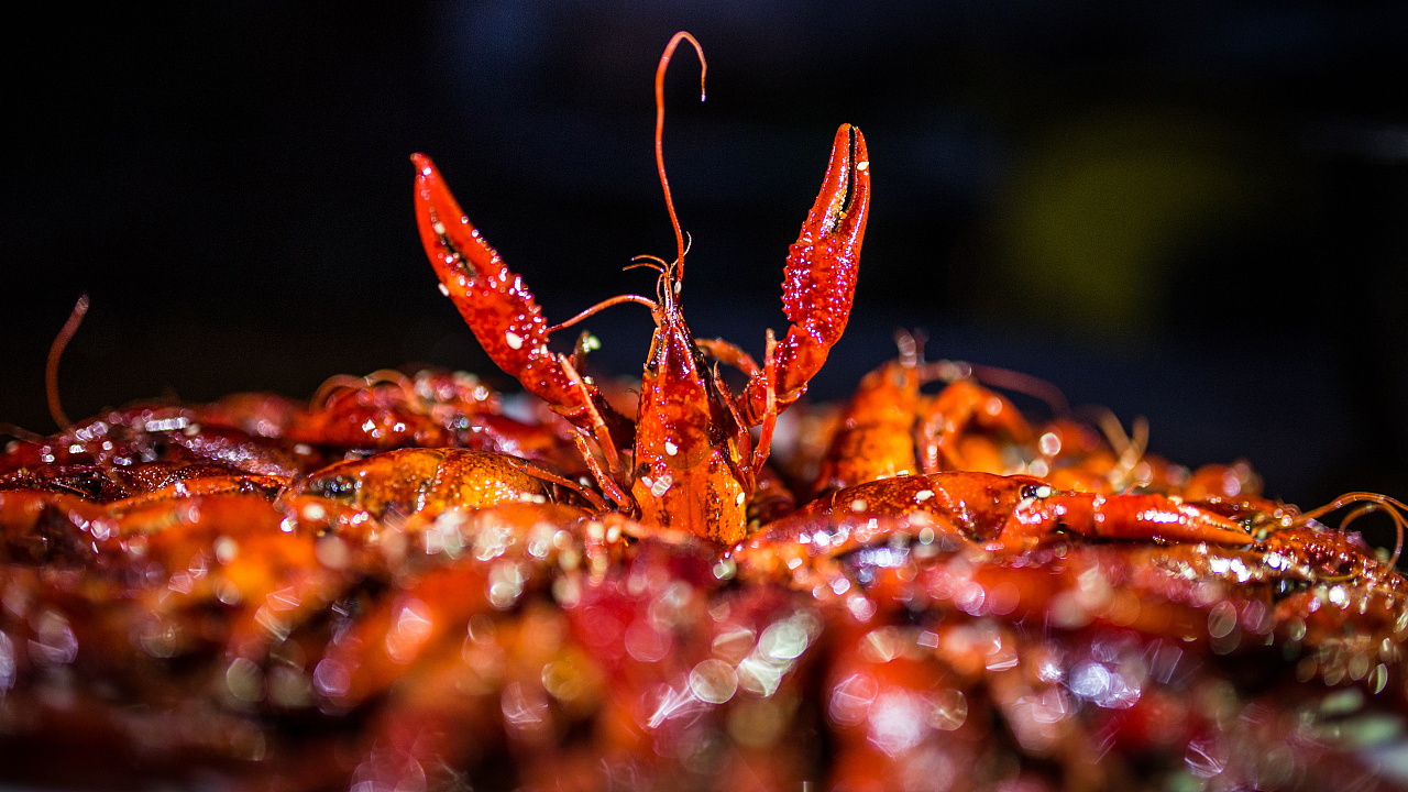 厉害了我的小龙虾>.