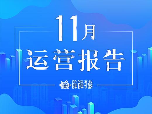 2017年  11月运营报告