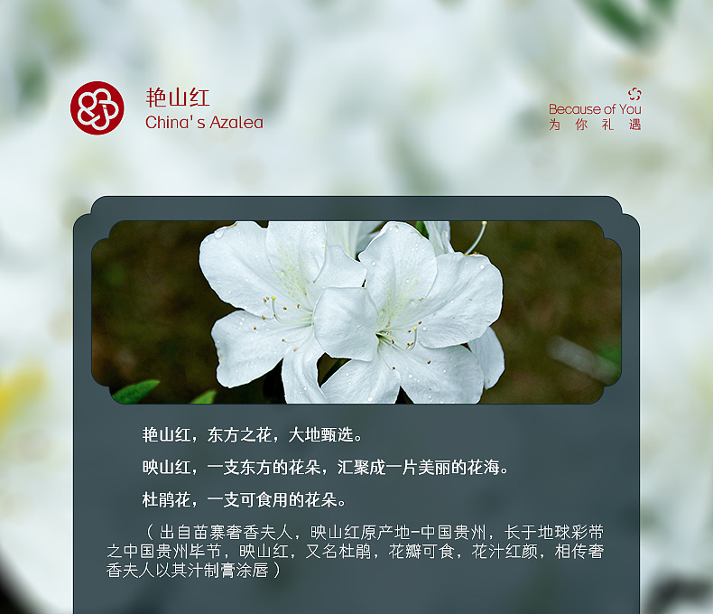 艳山红口红详情