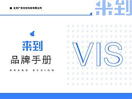 vi