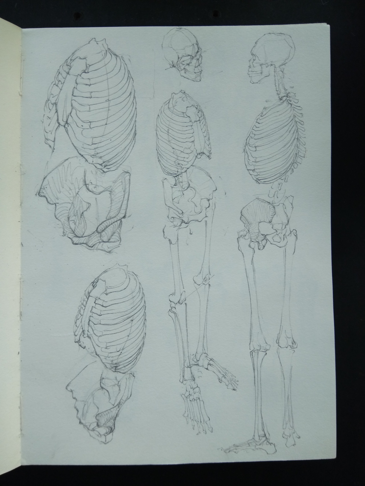 我的人体练习里程碑