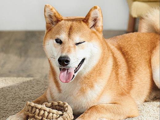 信息流