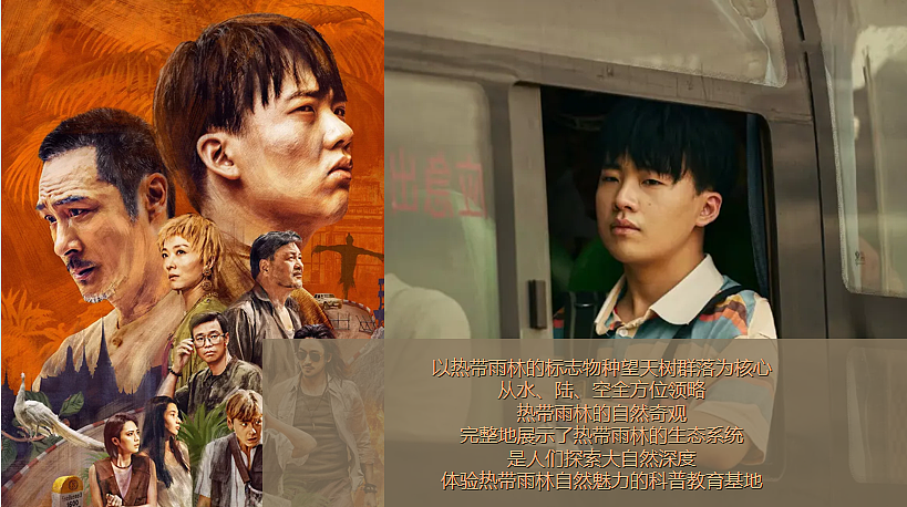 2024企业秋季团建《边水往事》西双版纳探险之旅