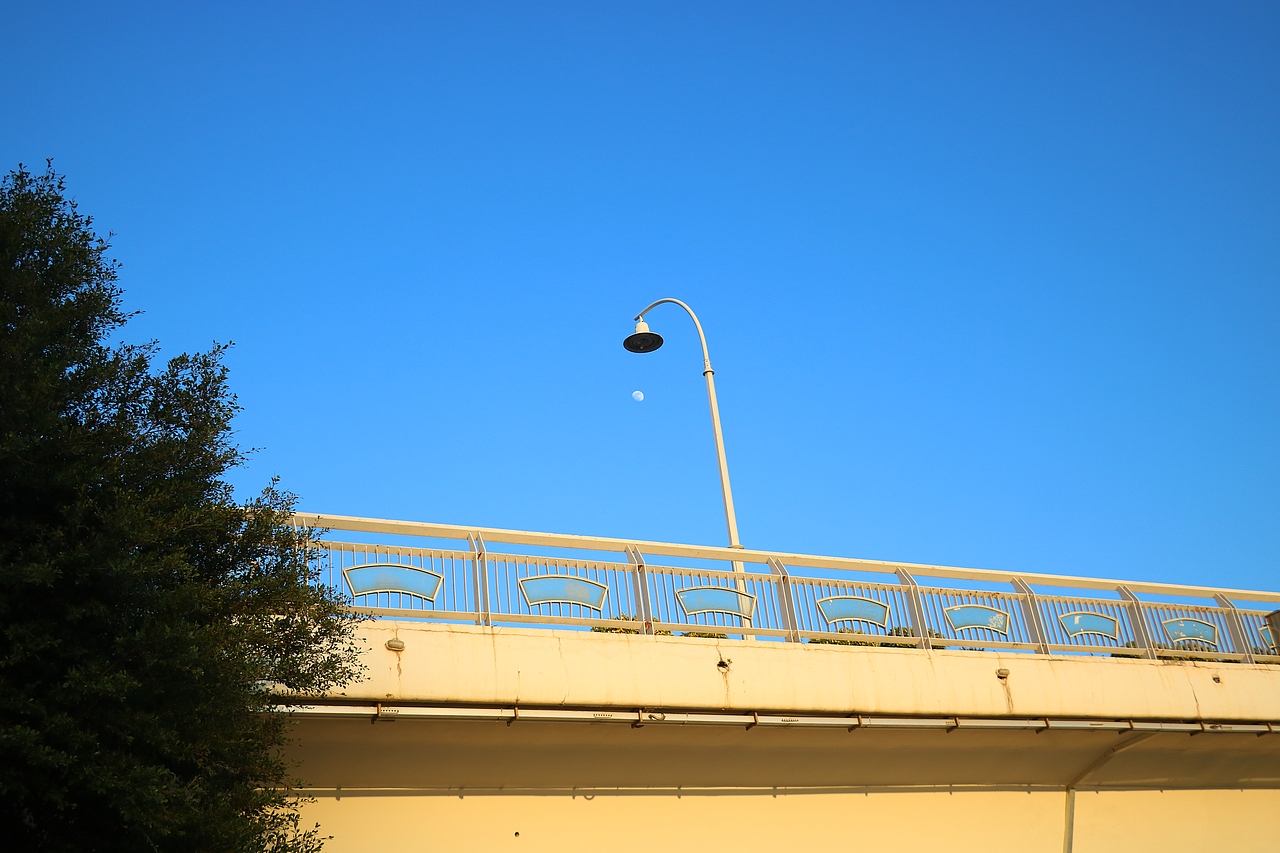 仰望天空（图ZMjY0MDE0NzA4） - 风光摄影 - 站酷设计师多缤设计原创素材 - 站酷ZCOOL