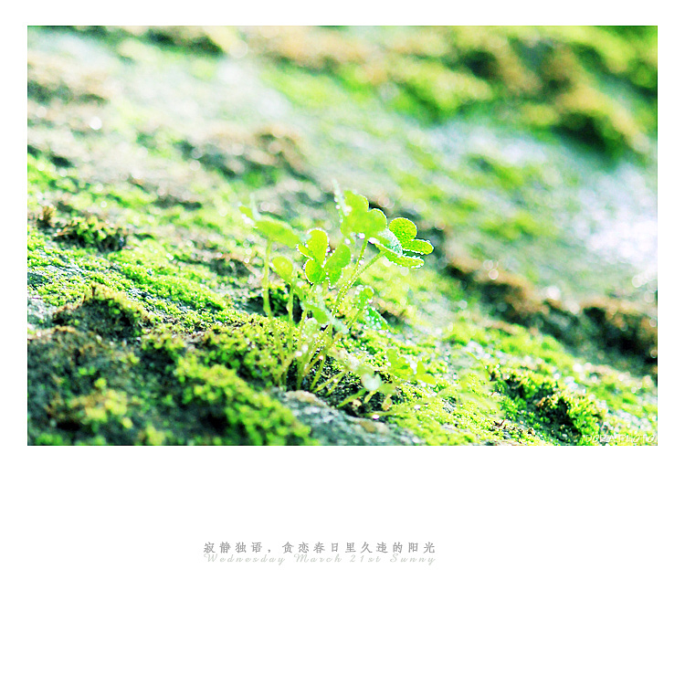 春的诗笺（图ZNzEyNTA2NDQ=） - 风光摄影 - 站酷设计师朵拉影像原创素材 - 站酷ZCOOL