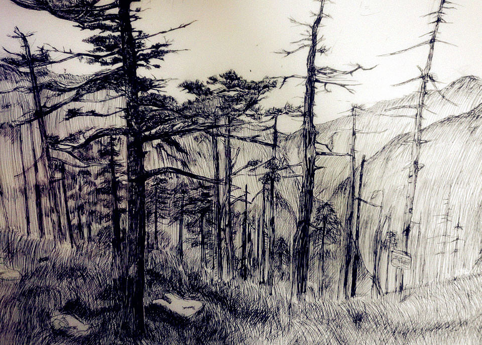 钢笔画写生-朱雀森林公园顶峰