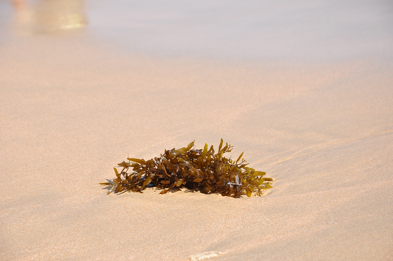 曾经拍的海（图ZNTY1NDg2OTI=） - 风光摄影 - 站酷设计师龙少logan原创素材 - 站酷ZCOOL