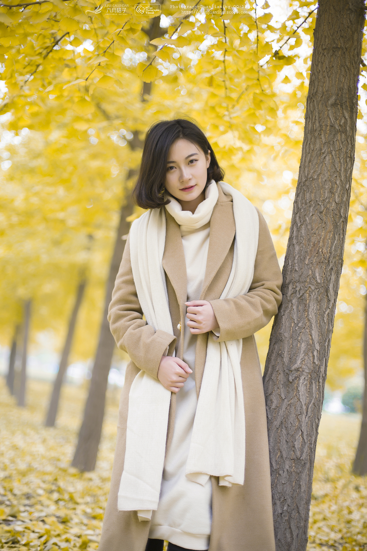 银杏（图ZMzY2NzYyNzI=） - 人像摄影 - 站酷设计师段老法师原创素材 - 站酷ZCOOL