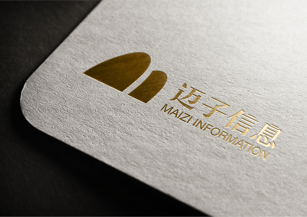 迈子信息-企业LOGO设计