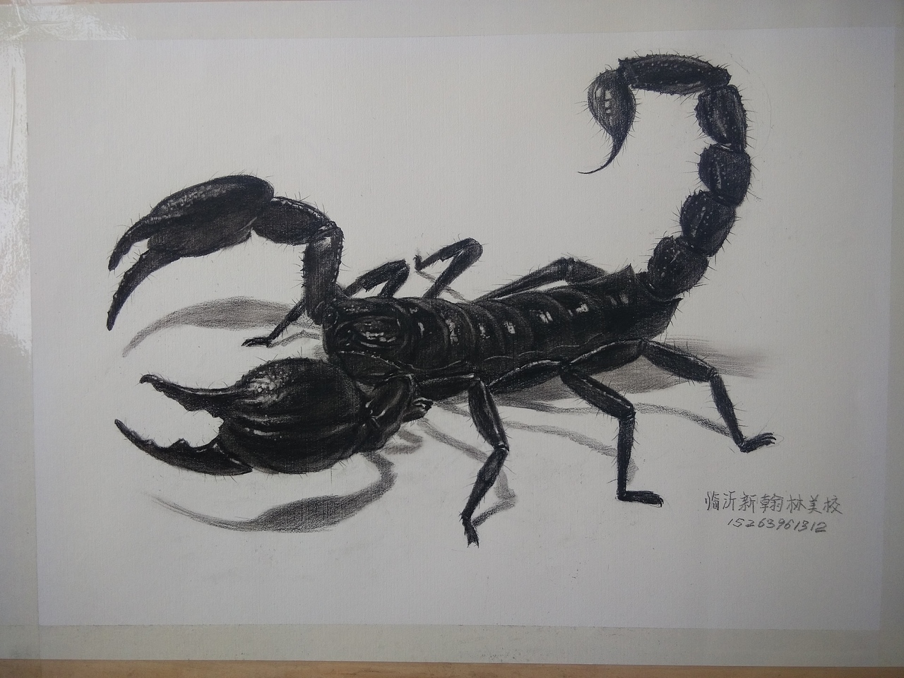 手绘动物进行中