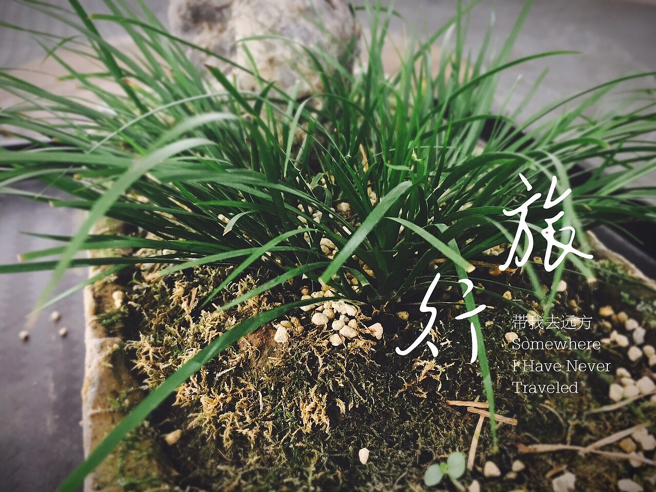 另一个世界！（图ZNjA1Mjc0MjQ=） - 风光摄影 - 站酷设计师probin原创素材 - 站酷ZCOOL