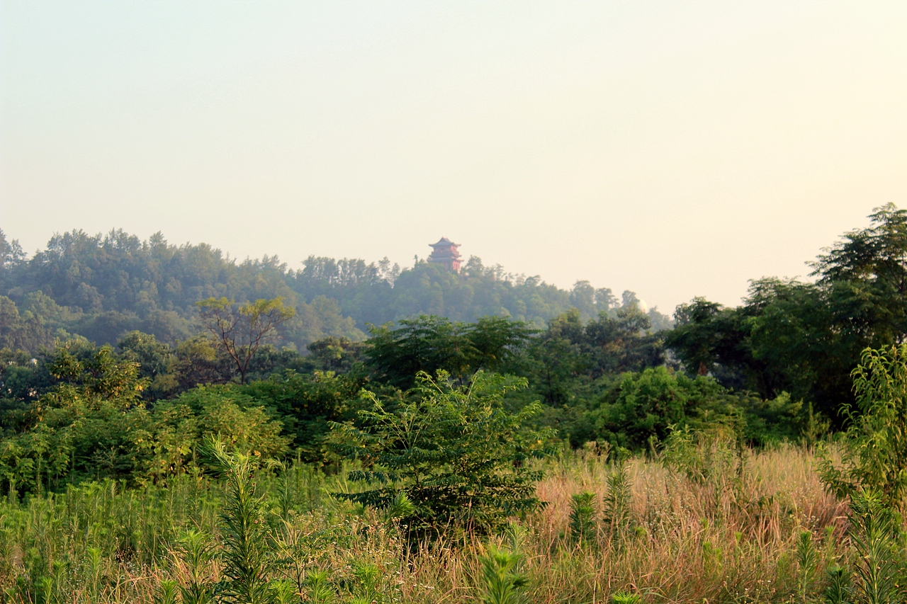 初学小摄（图ZMTA2NDYwMTI=） - 其他摄影 - 站酷设计师Rick_chen原创素材 - 站酷ZCOOL