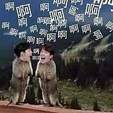长鲤的头像