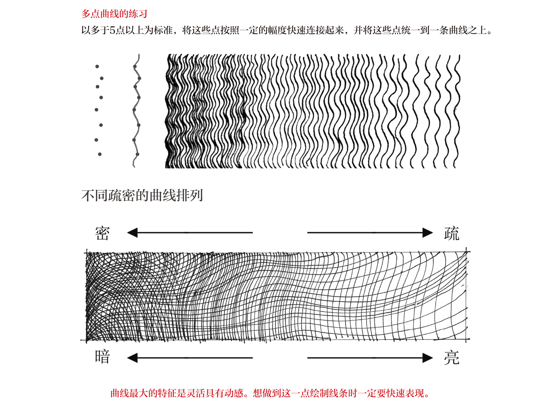 手绘线稿当中的直线与曲线