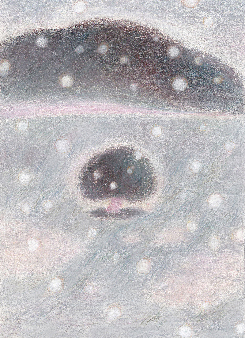 木言-《空桑》（图ZMTcxNjI5NDky） - 绘本 - 站酷设计师木言木言木言原创素材 - 站酷ZCOOL