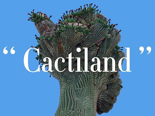 Cactiland