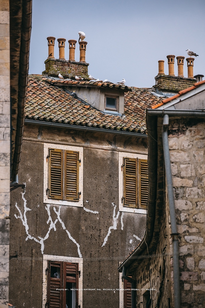 我们来的时间并非旺季，作为旅游景点的古城多少有点点萧瑟，与旁边度假区域形成了鲜明的对比，我是很快乐啦因为人少猫多的景象我最乐意看到，倒是欧洲满地都是的海鸥与鸽子从未缺席，一个个盯着四周，正在寻找目标，搞一点薯条~，想起在夜间我们去吃饭的时候一家烤肉店窗外，一只胖橘异常认真的盯着里面烤肉的大姐的手，其可爱程度也是高得离谱~希望这里小动物们的伙食越来越好~hhh