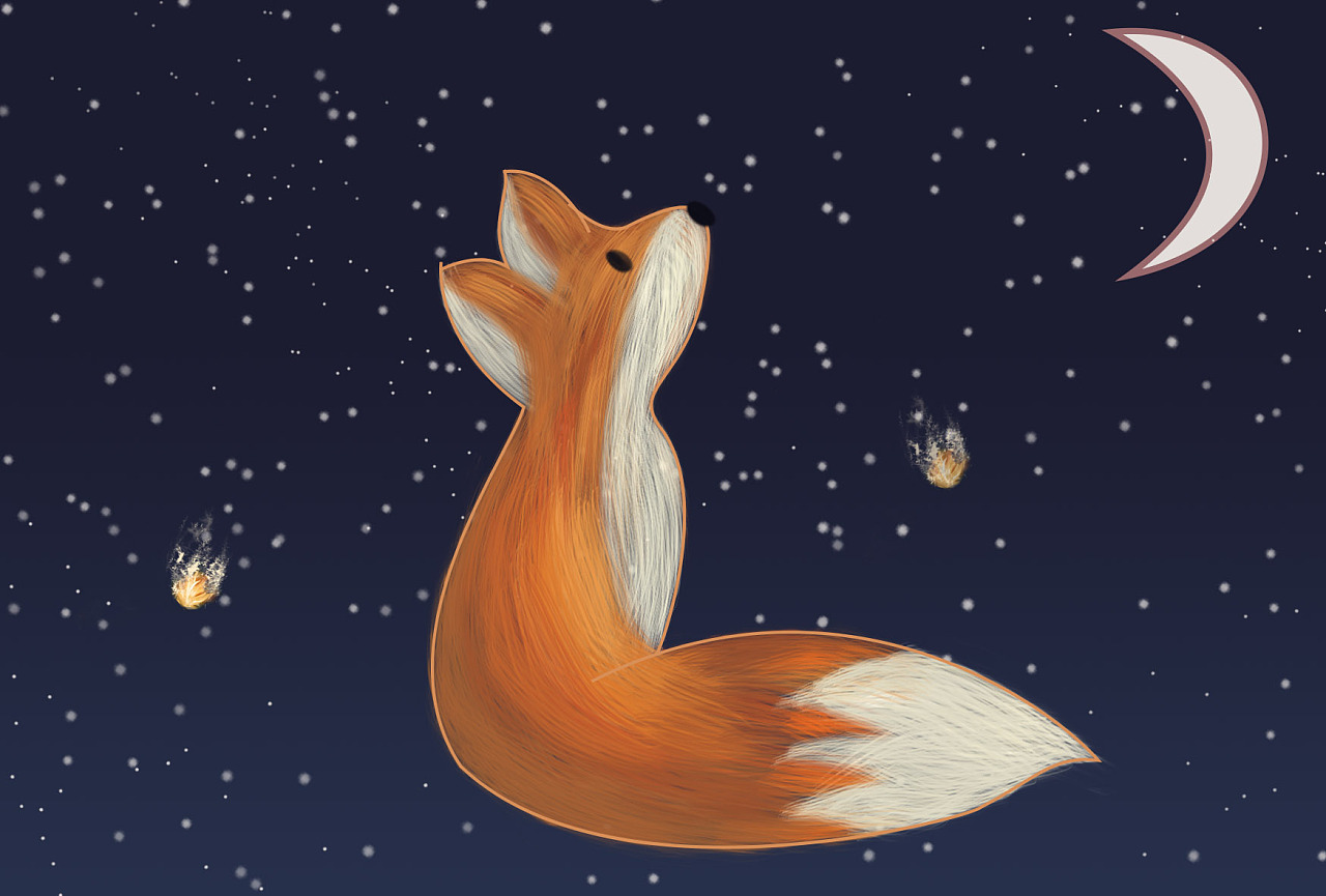 小狐狸插画