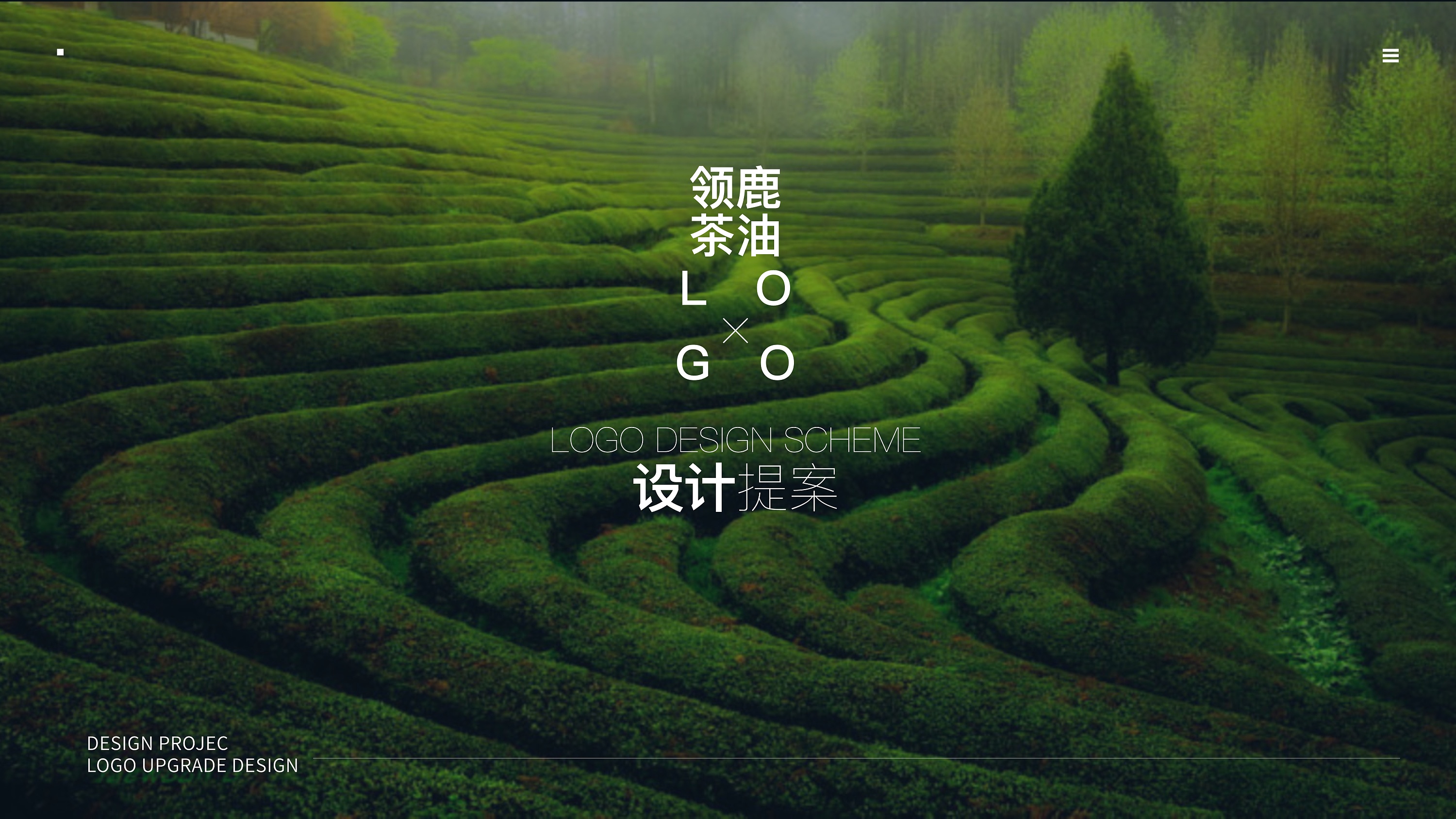茶油logo设计-logo设计商标设计公司logo