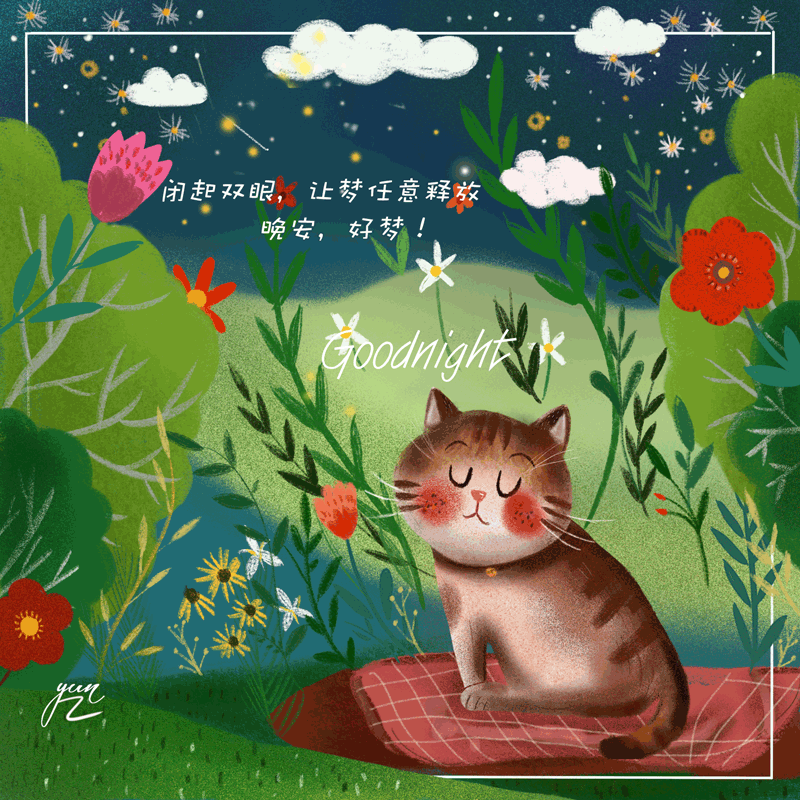 公司里可爱的小胖猫