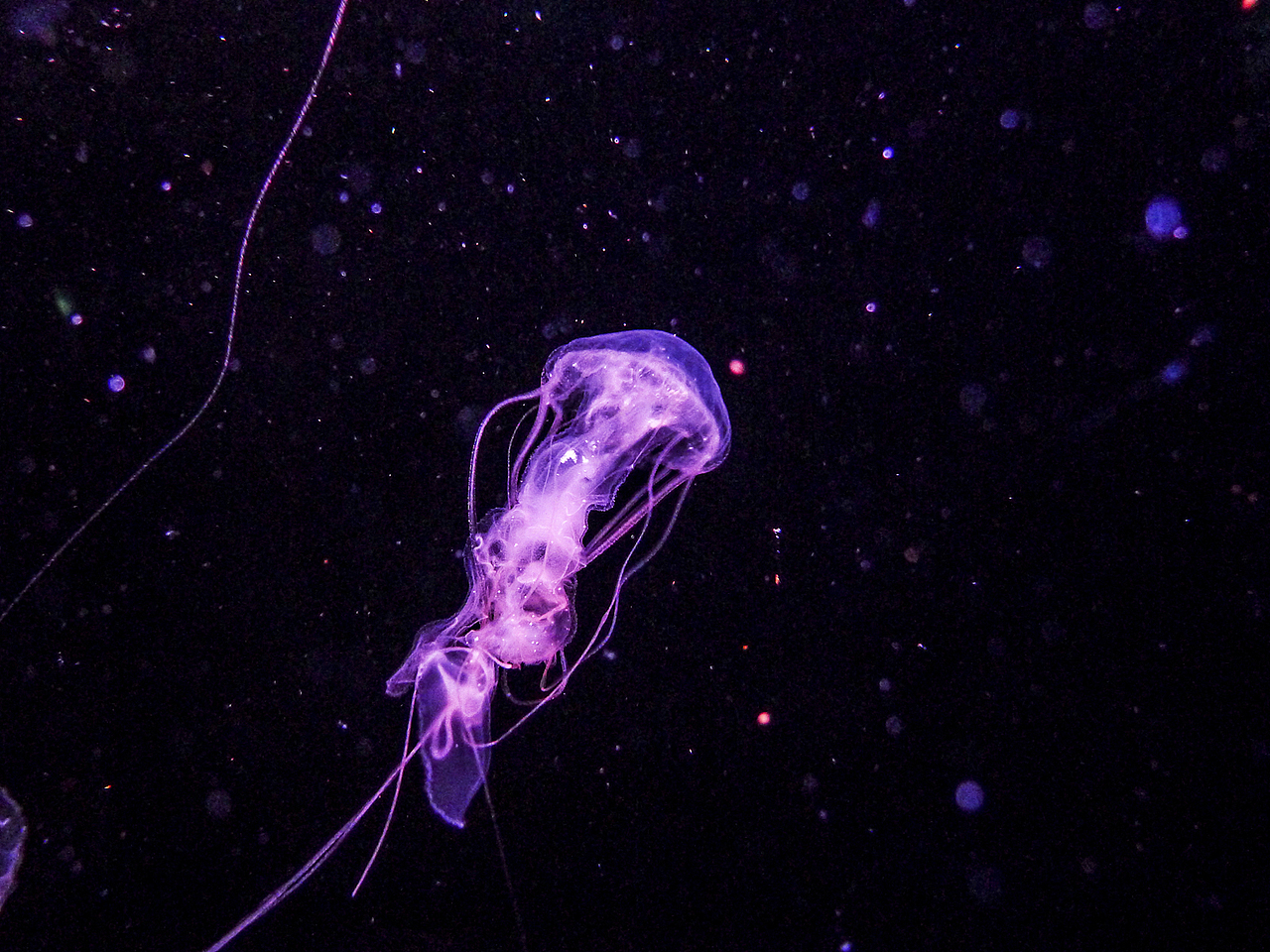 2014.12.28-2015.01.03 北海碧蓝