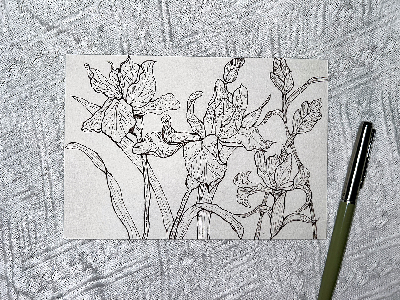 画渣日常🎨一副鸢尾花（图ZMzI3MTY5Nzcy） - 绘画 - 站酷设计师璐梦游原创素材 - 站酷ZCOOL