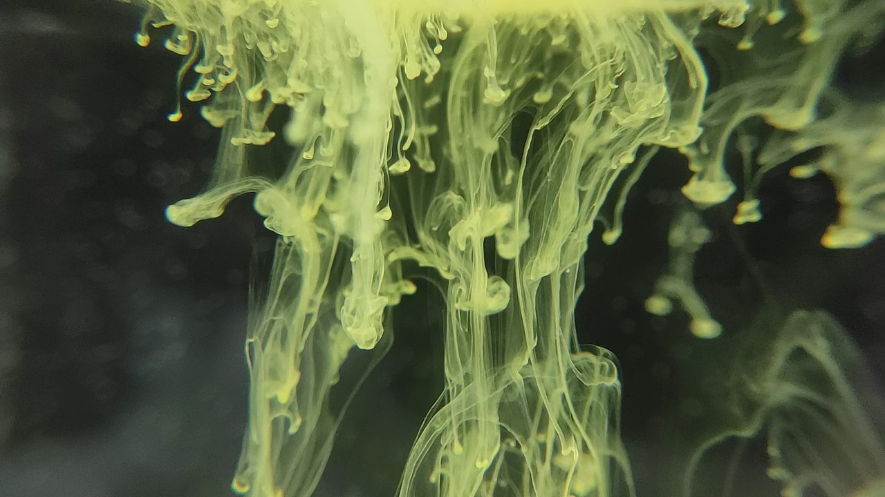 色彩实验——“色即是空”（小组作业）（图ZMTk3NDM2NjU2） - 短片 - 站酷设计师班琨原创素材 - 站酷ZCOOL