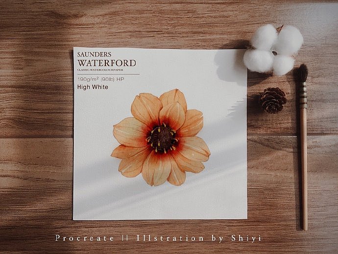 iPad水彩插画 | 花朵合集1