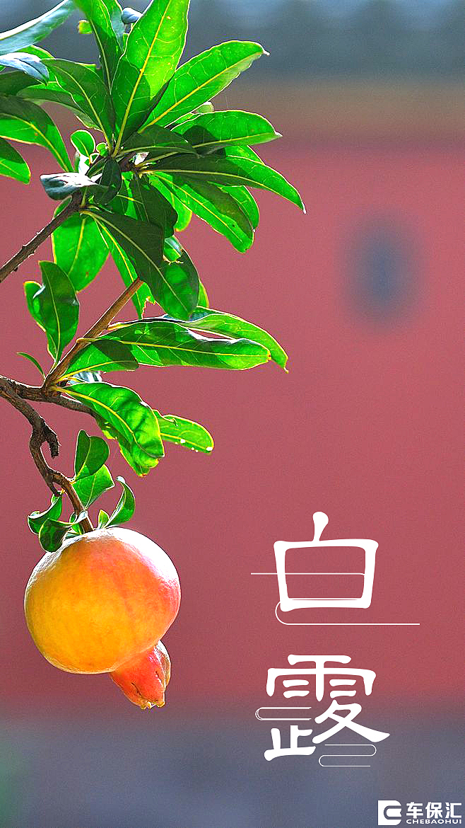 朋友圈（图ZOTEzNzc2MjA=） - 宣传物料 - 站酷设计师薛福爱原创素材 - 站酷ZCOOL