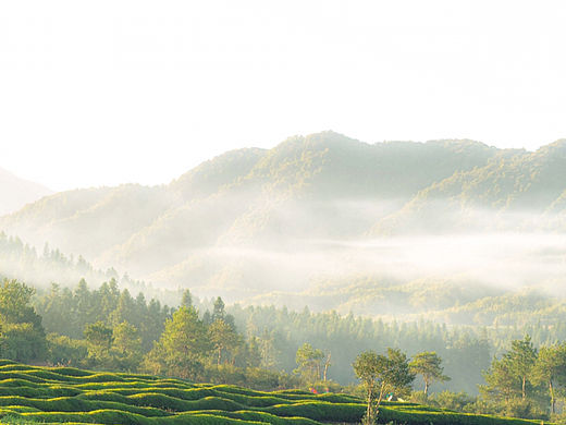 記錄我所在的城市?寒溪村（個人主頁-ZNjU1MDM0MTI=） - 環(huán)境/建筑攝影 - 站酷設(shè)計師Z40837813原創(chuàng)素材 - 站酷ZCOOL