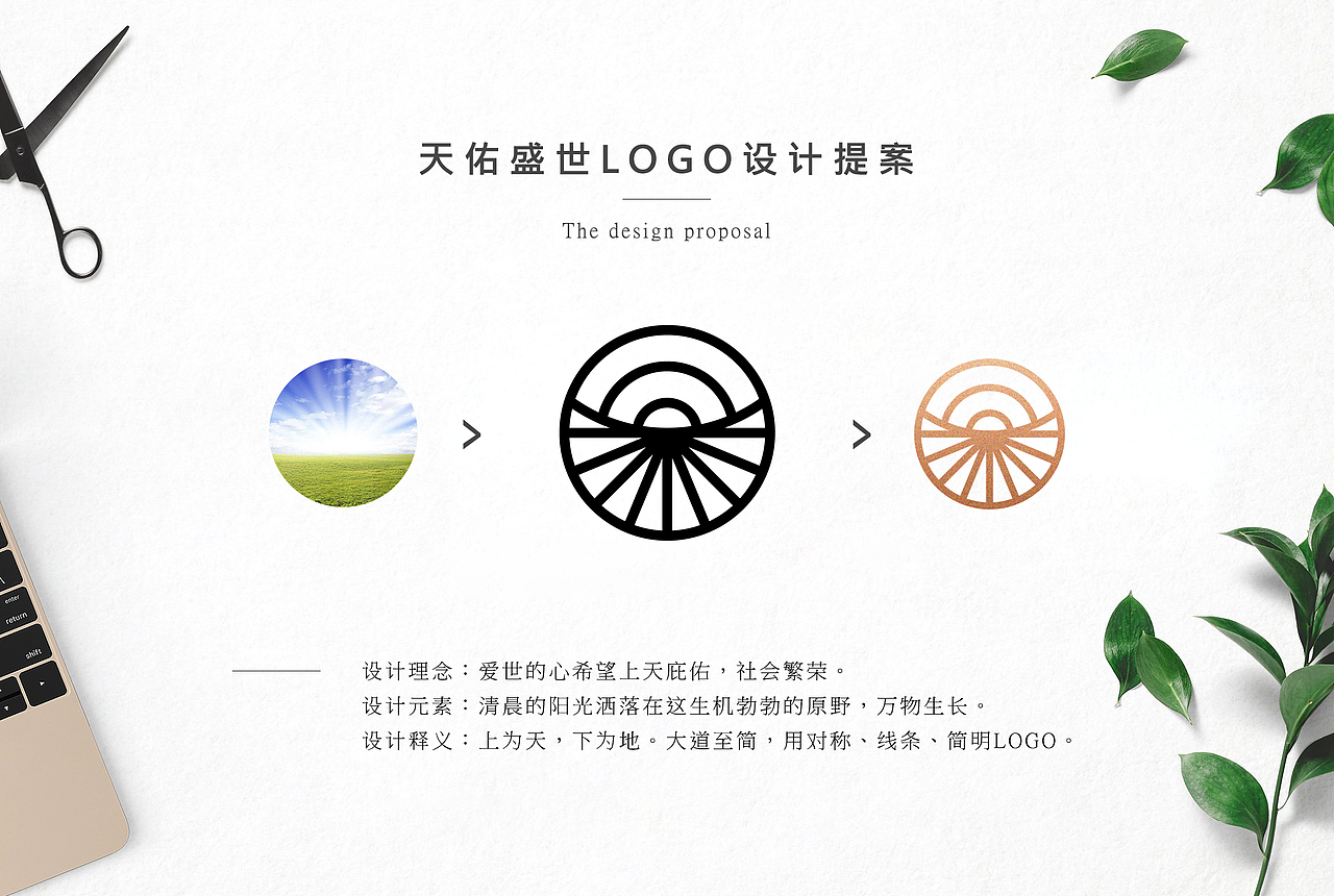 天佑盛世 LOGO&VI 设计提案部分作品展示