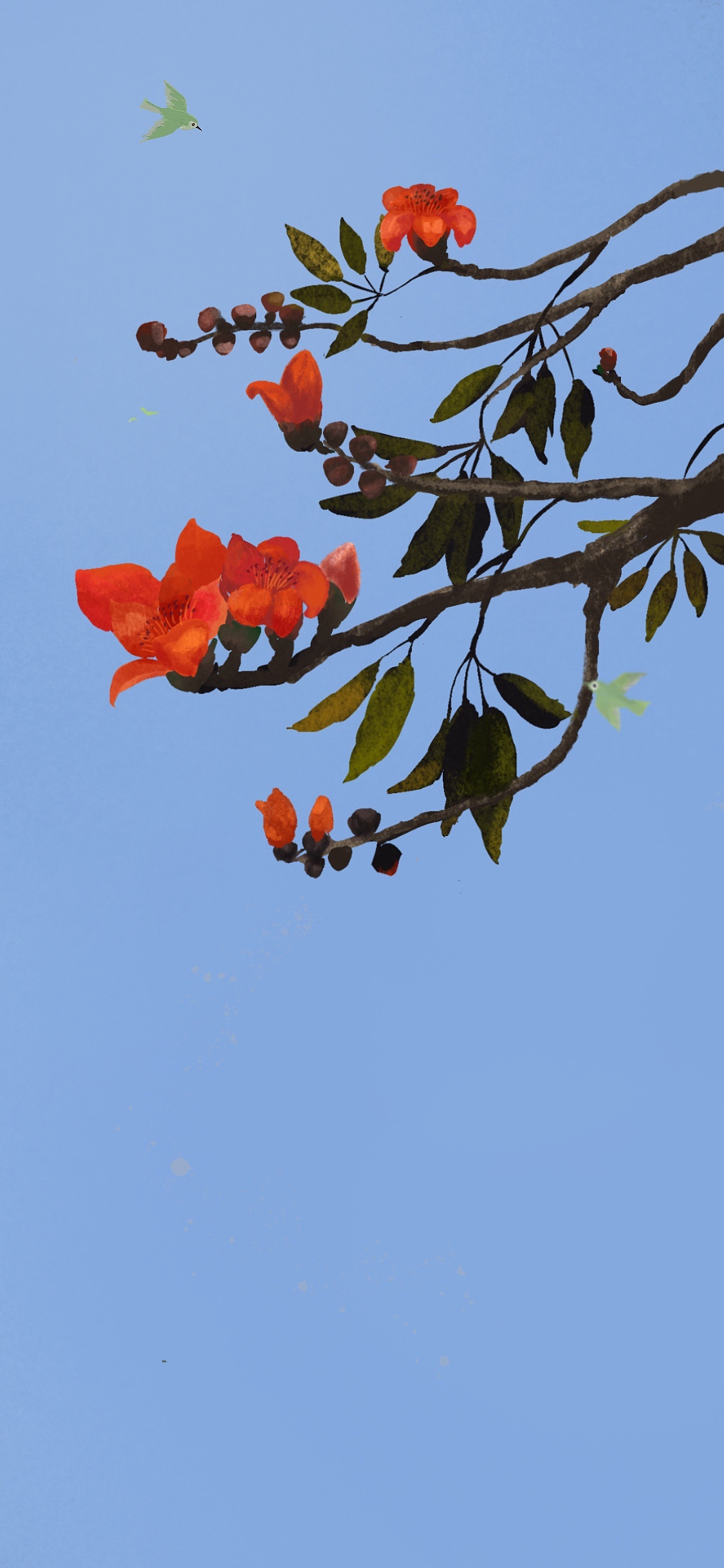 木棉|插画|商业插画|星月rem - 原创作品 - 站酷 (zcool)