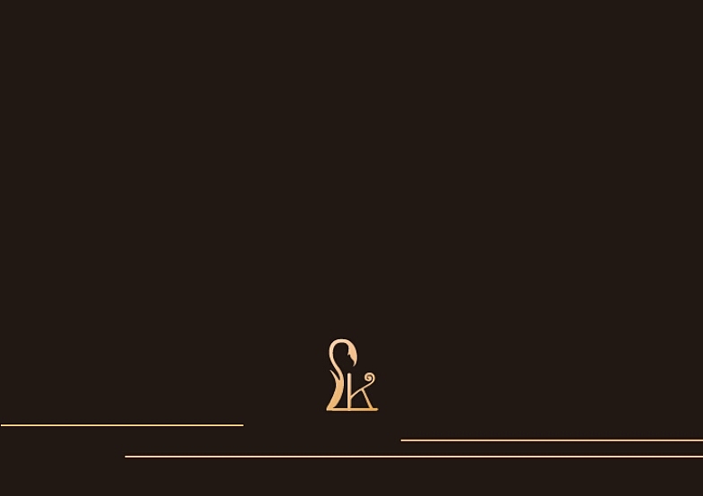 服装品牌VI手册