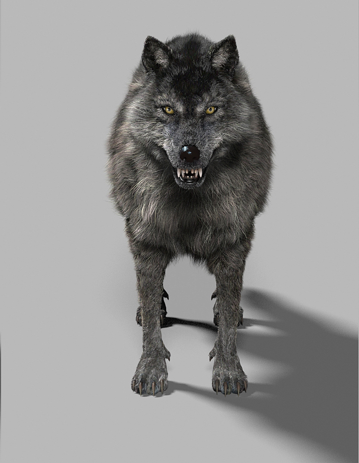 动物写实模型—狼