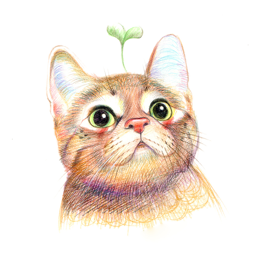 彩铅画萌宠动物