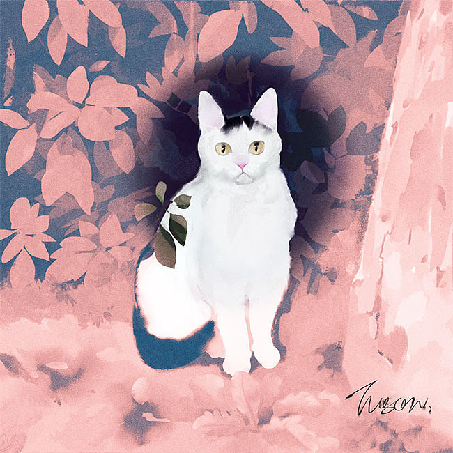 又画了10只猫（图ZMTg2NDE3ODQ0） - 艺术插画 - 站酷设计师Tusan了了原创素材 - 站酷ZCOOL