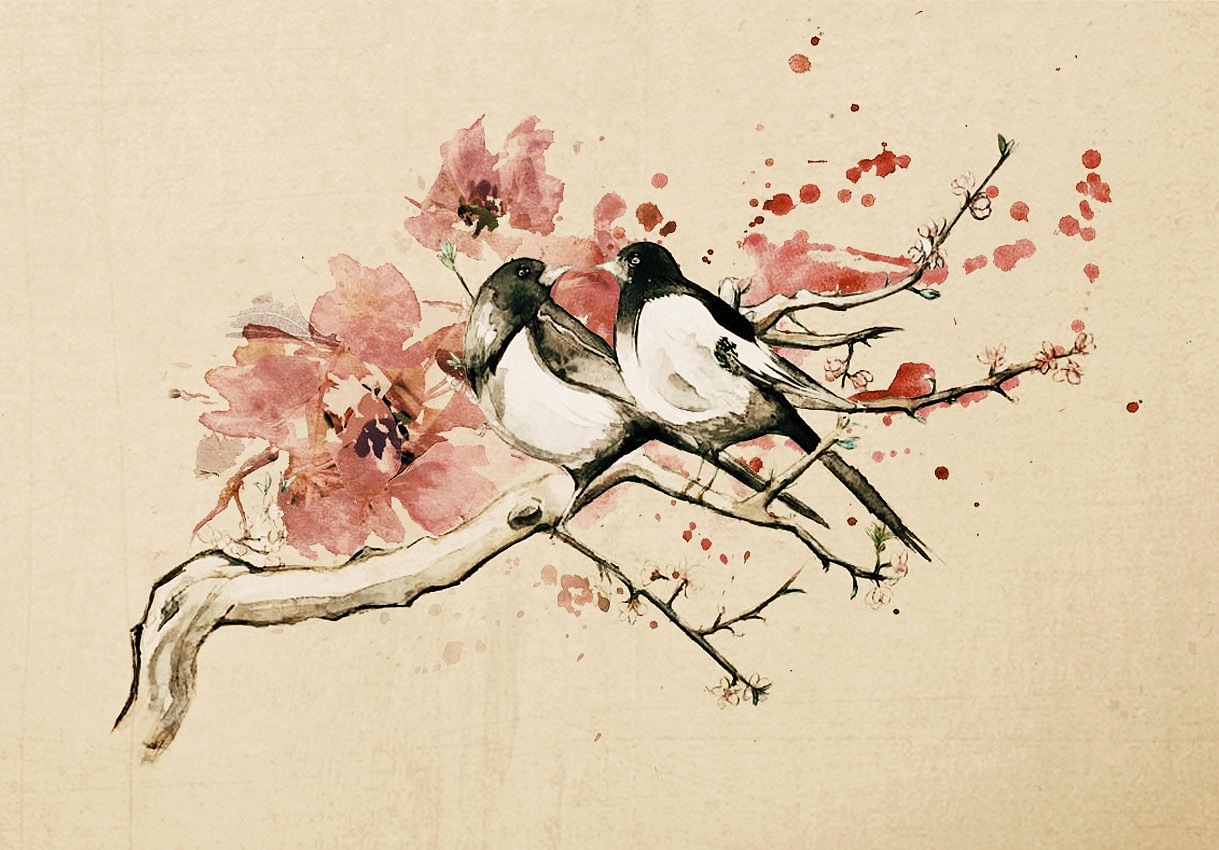 枫树上的喜鹊绘画图片