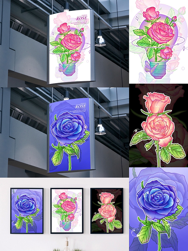 iPad商业插画|玫瑰系列