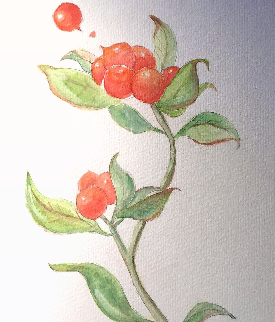 水彩习作（图ZNjA0MTU4MDQ=） - 创作习作 - 站酷设计师呦西呦西原创素材 - 站酷ZCOOL