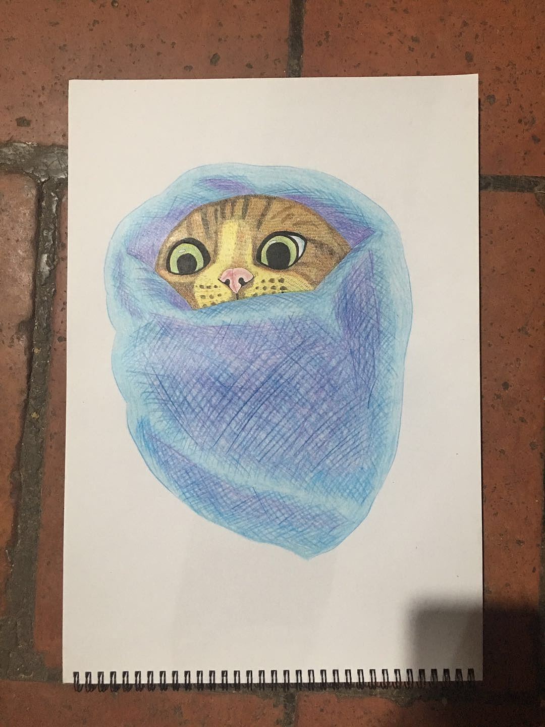 我画的【猫咪】